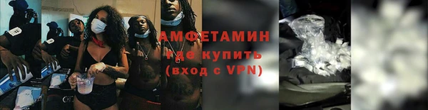 шишки Нея
