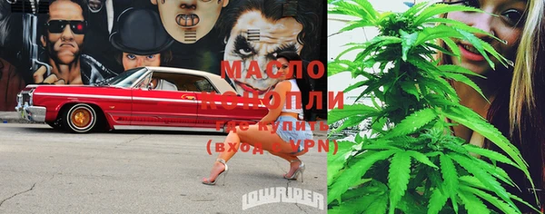 шишки Нея