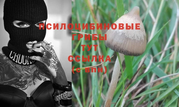 шишки Нея