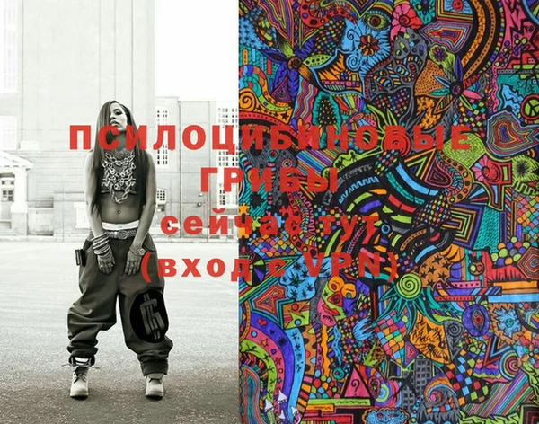 шишки Нея