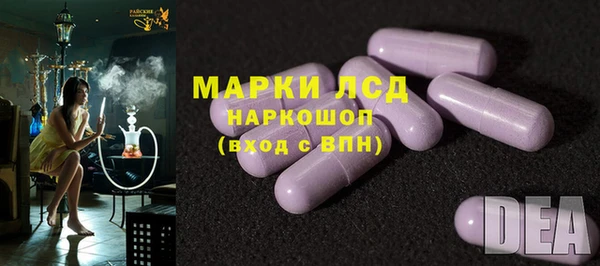 шишки Нея