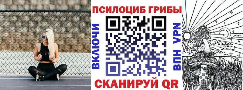 купить наркотик  Якутск  Псилоцибиновые грибы мицелий 